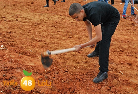 a3malteybeortlud (31).jpg